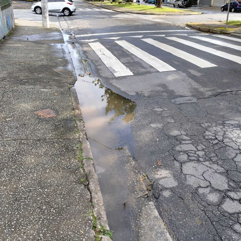 Imagem da publicação