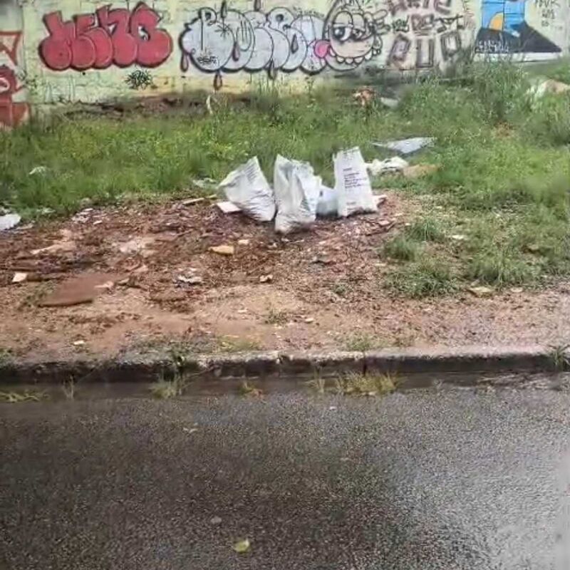 Imagem da publicação