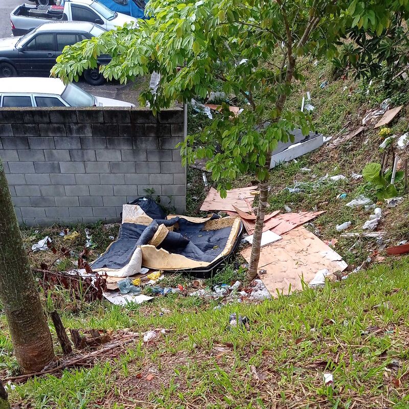 Imagem da publicação