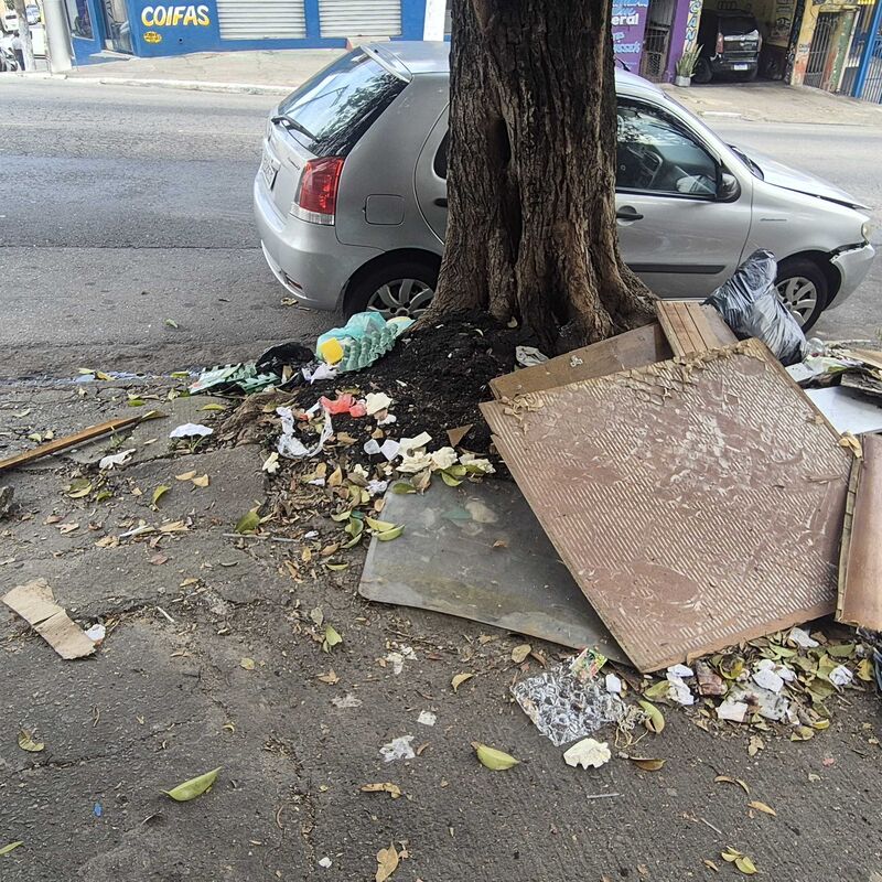 Imagem da publicação