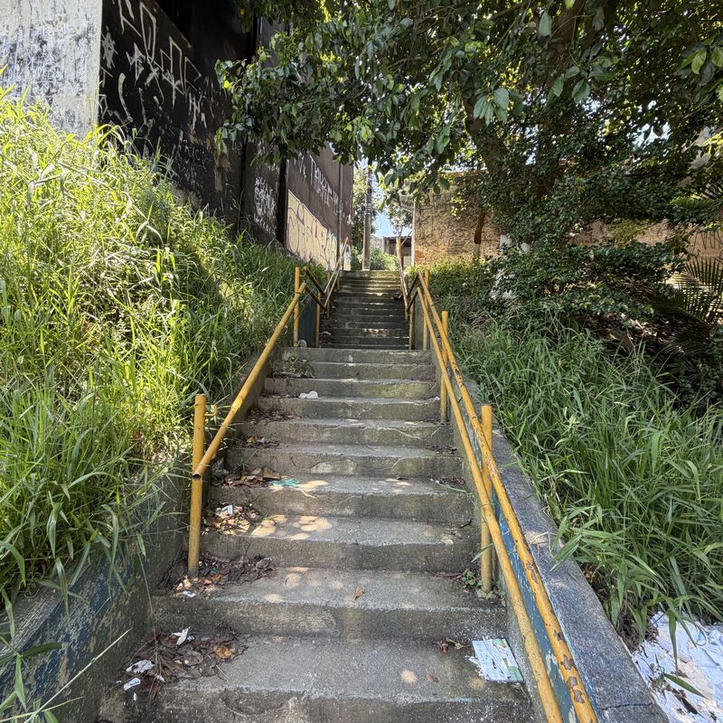 Imagem da publicação