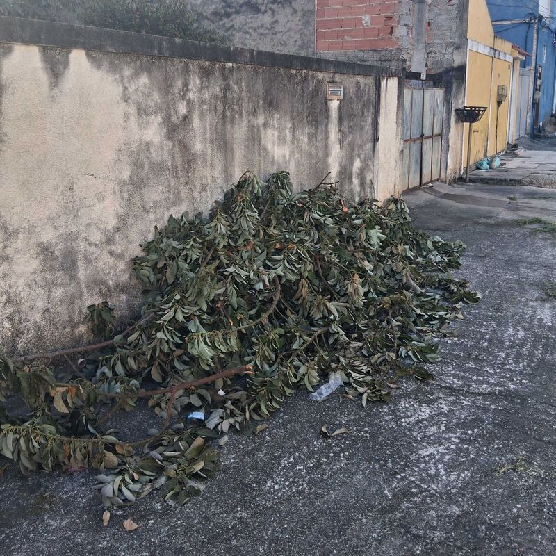 Imagem da publicação