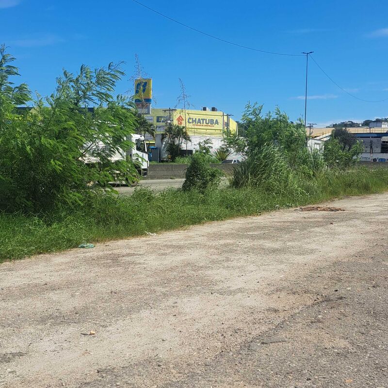 Imagem da publicação