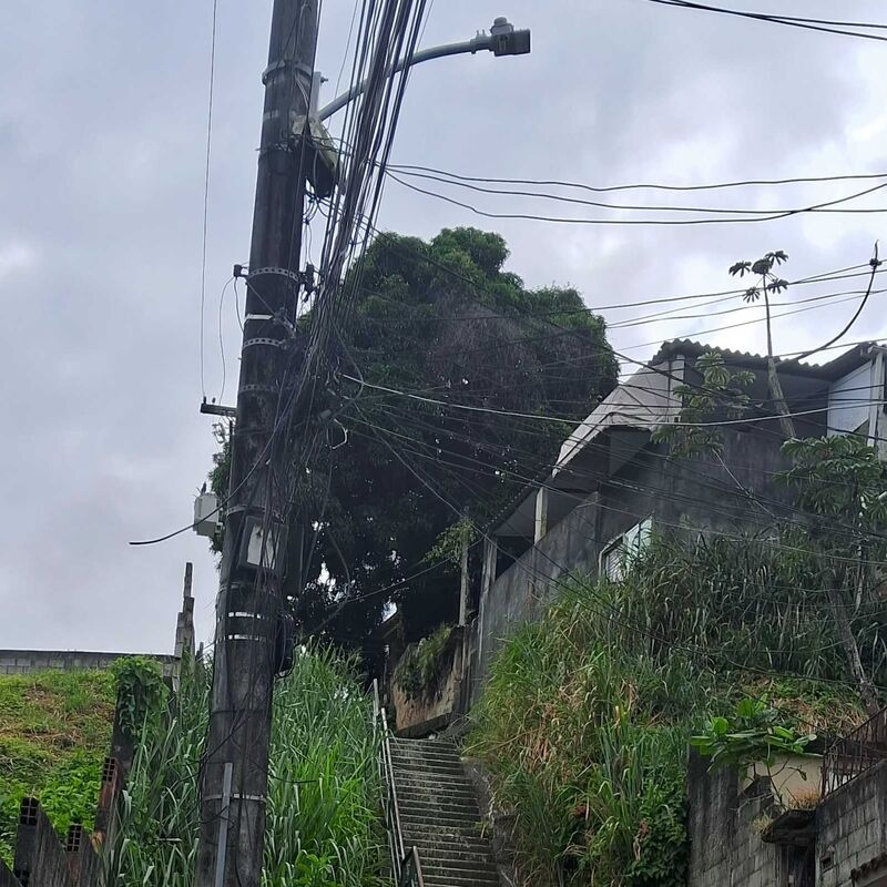 Imagem da publicação