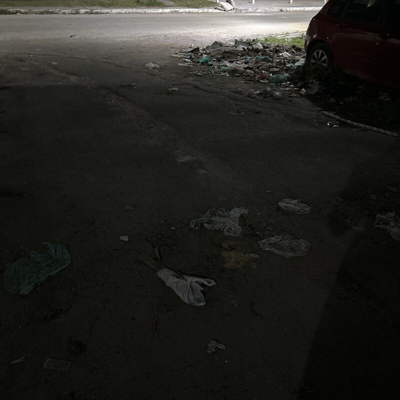 Imagem da publicação