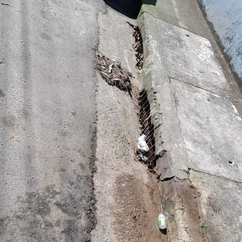Imagem da publicação