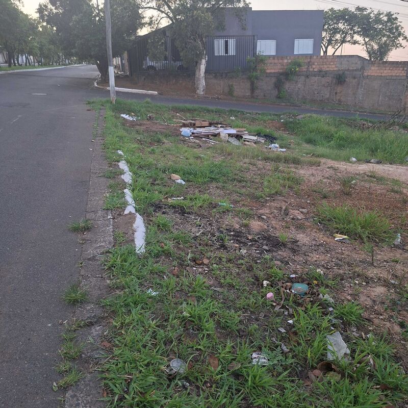 Imagem da publicação