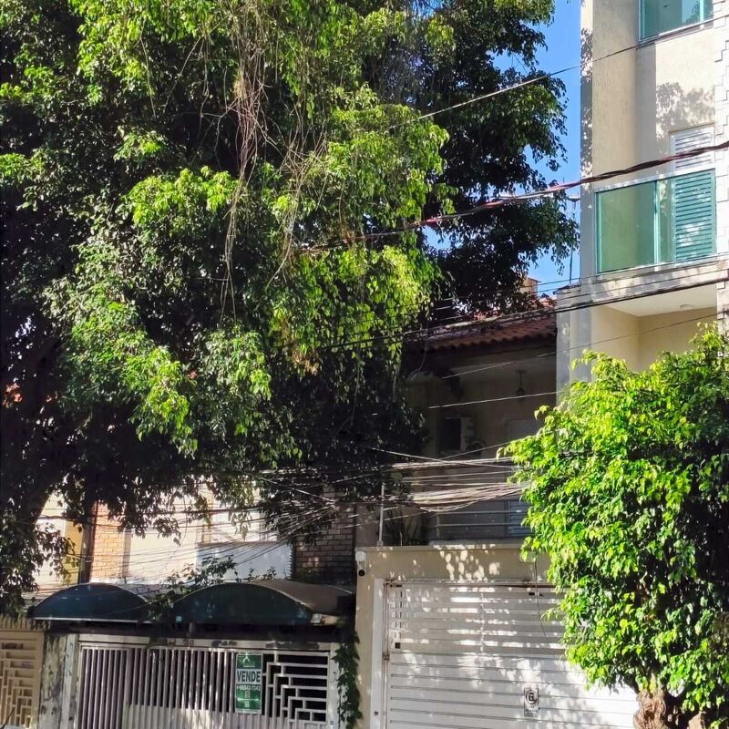 Imagem da publicação