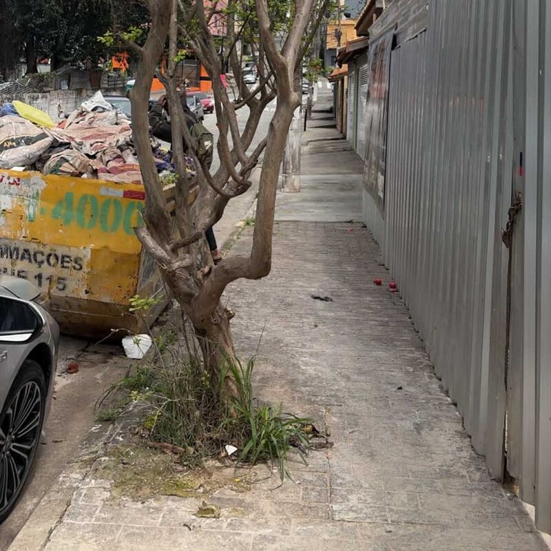 Imagem da publicação