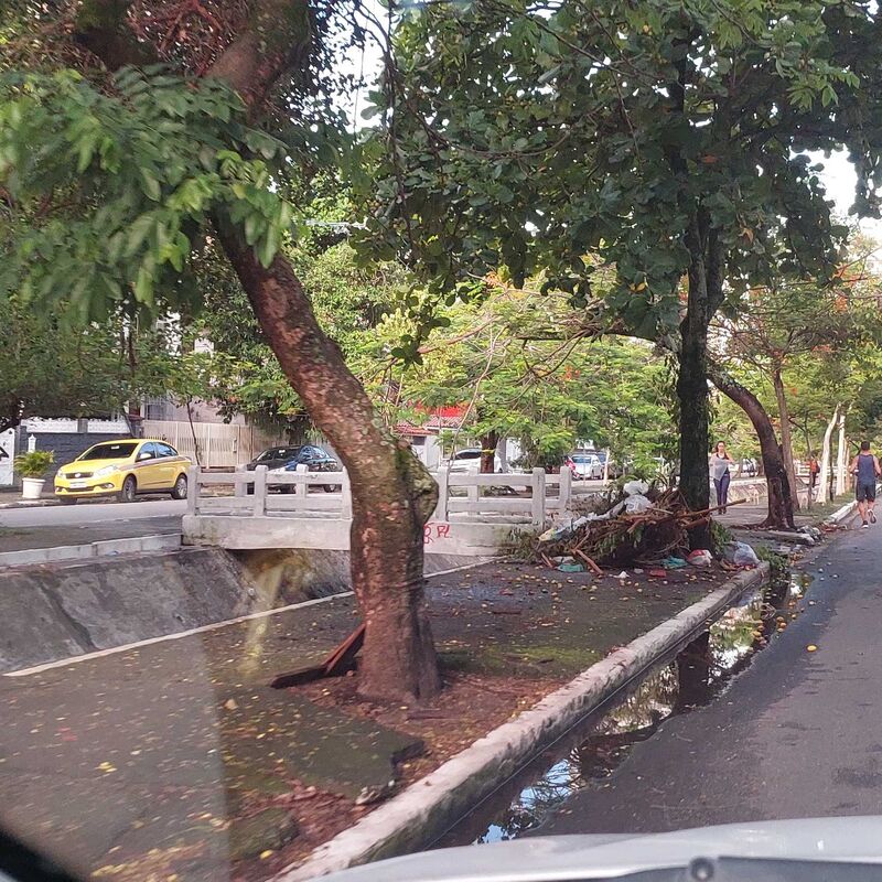 Imagem da publicação