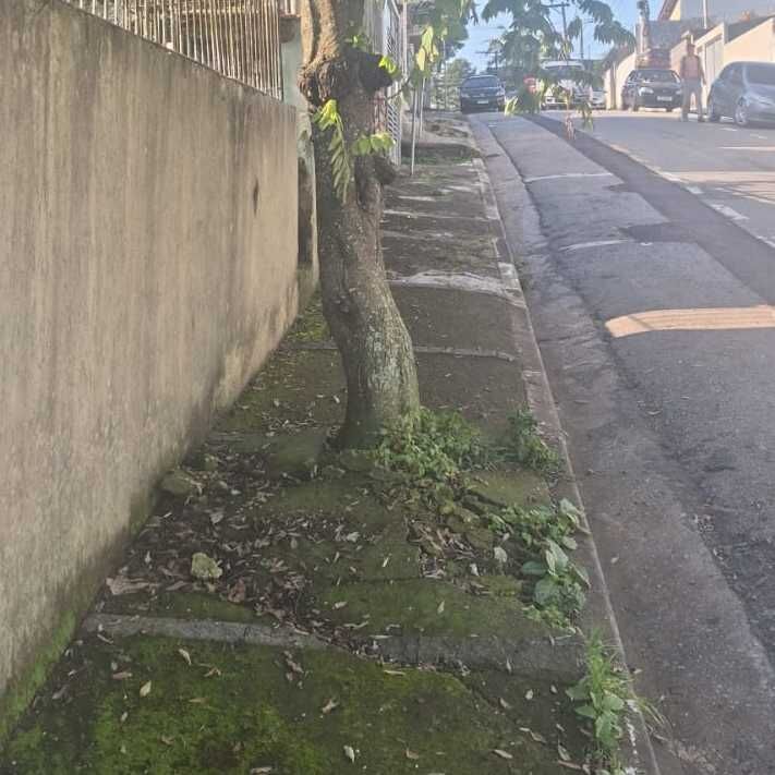 Imagem da publicação