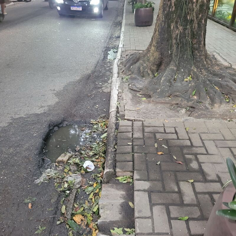 Imagem da publicação