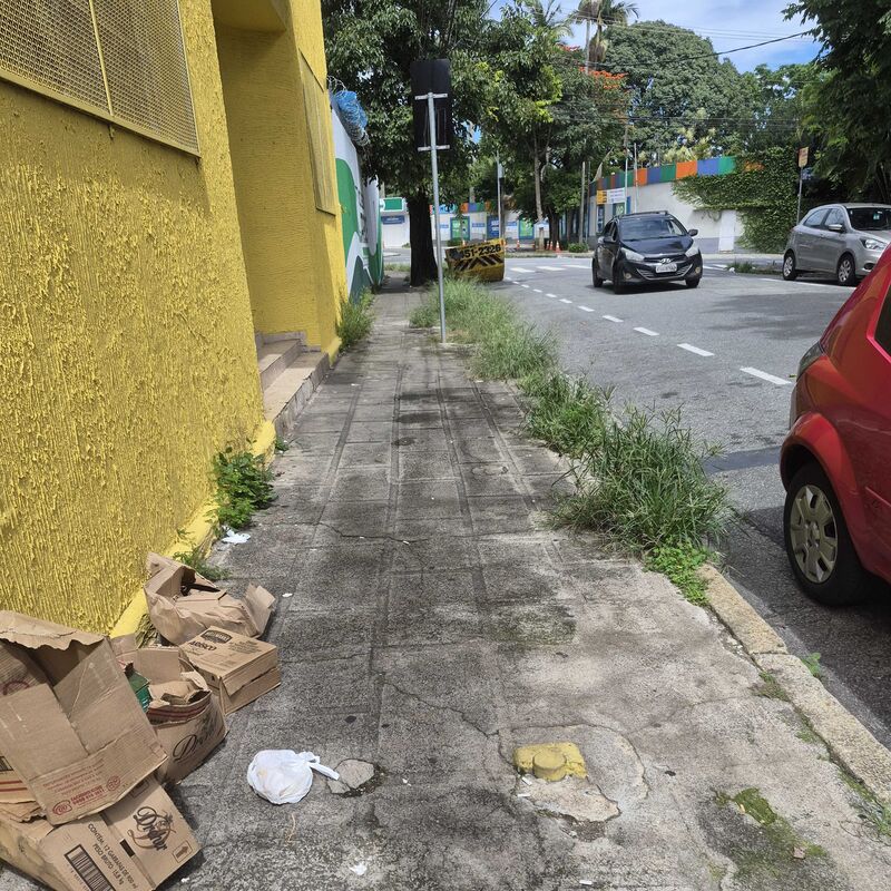 Imagem da publicação