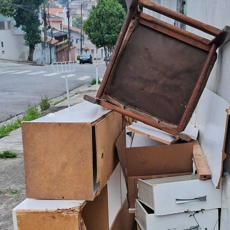 Imagem da publicação