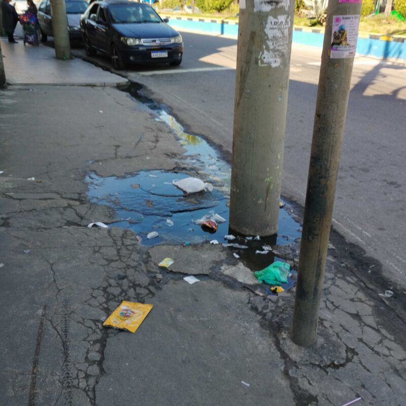 Imagem da publicação