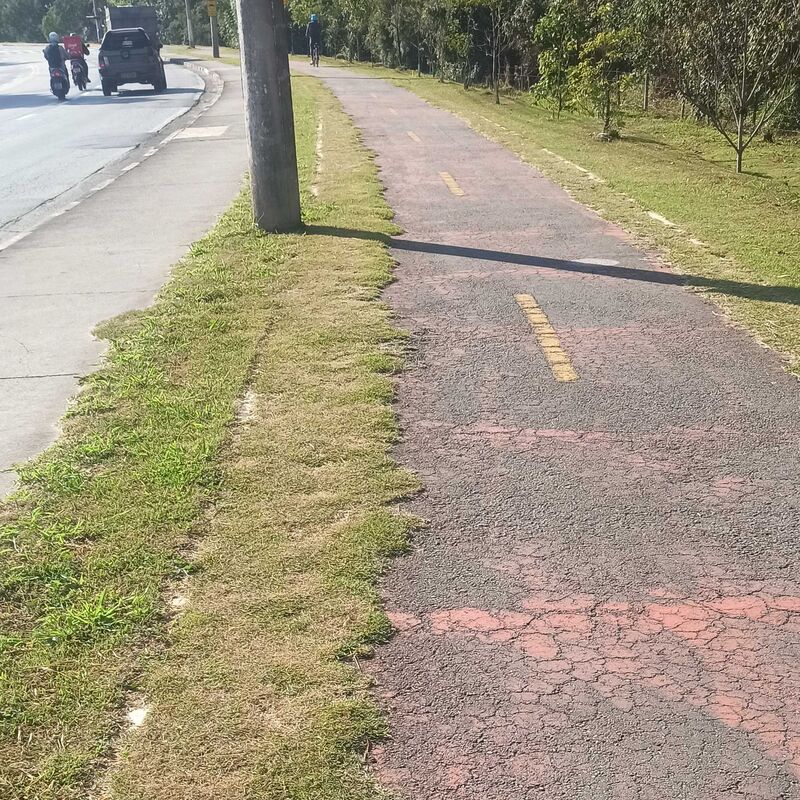 Imagem da publicação