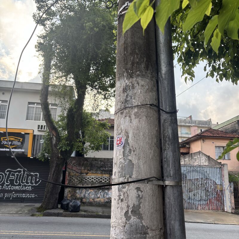 Imagem da publicação