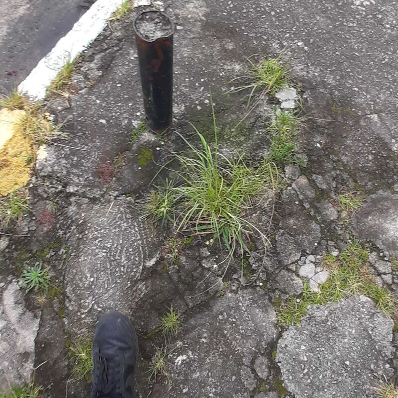 Imagem da publicação