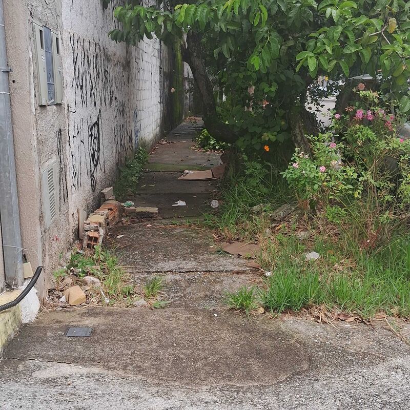 Imagem da publicação