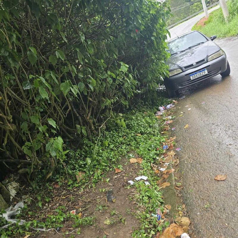 Imagem da publicação