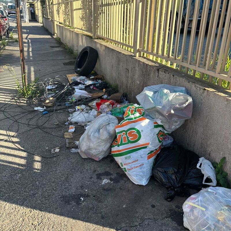 Imagem da publicação