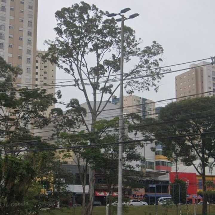 Imagem da publicação
