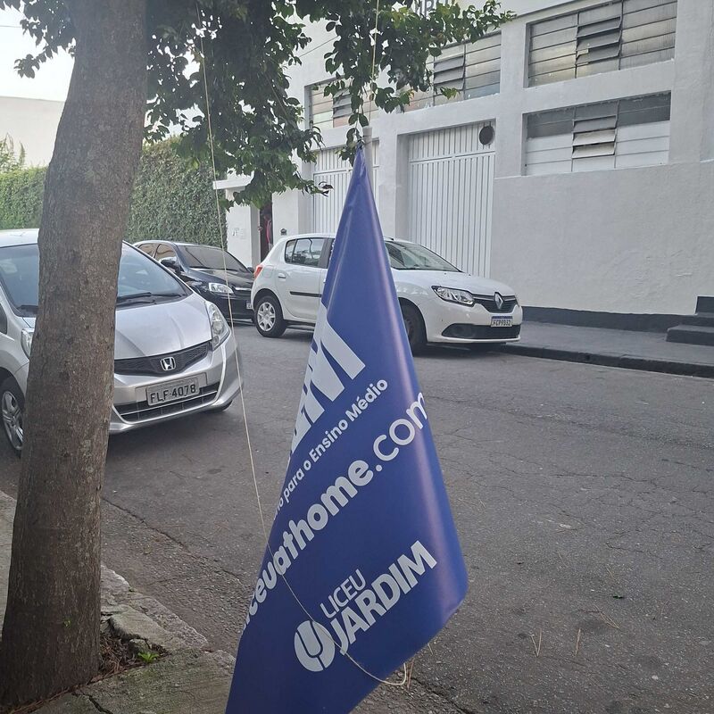 Imagem da publicação