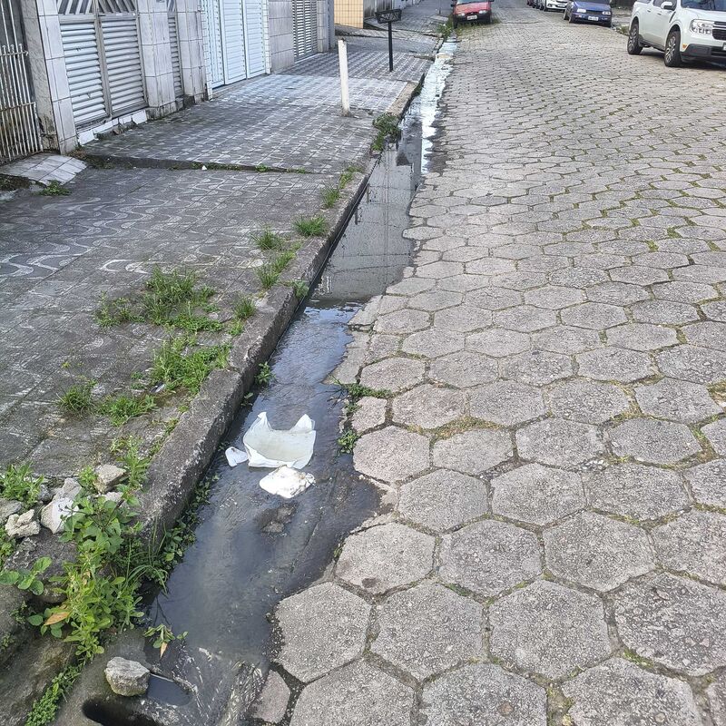 Imagem da publicação