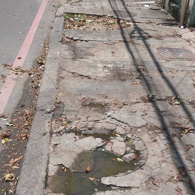 Imagem da publicação