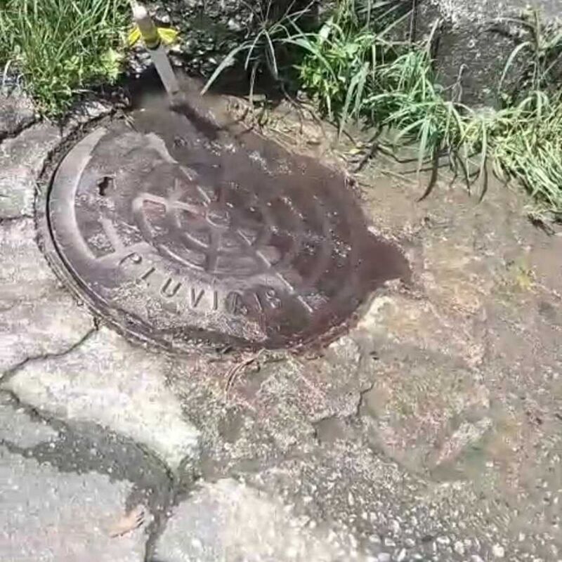 Imagem da publicação