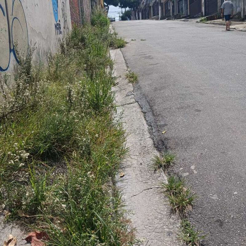 Imagem da publicação