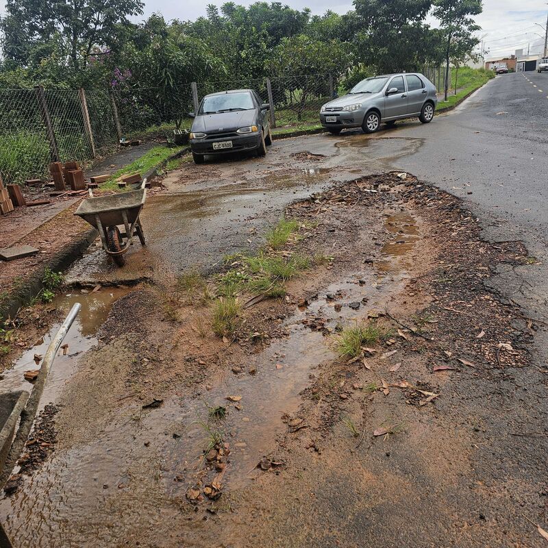 Imagem da publicação