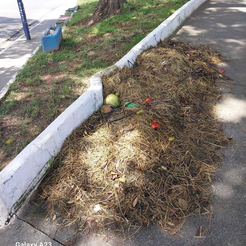 Imagem da publicação