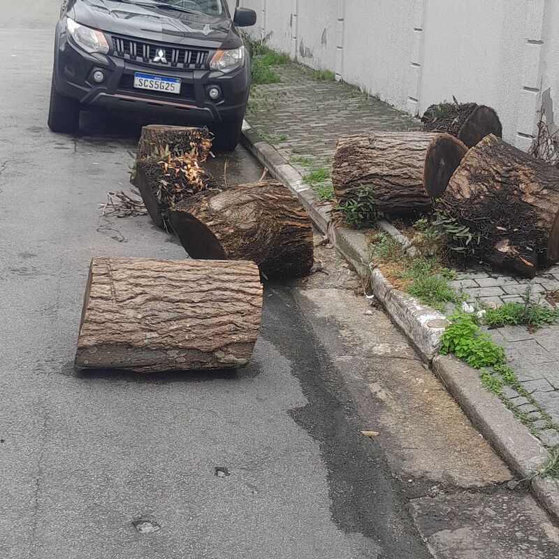 Imagem da publicação