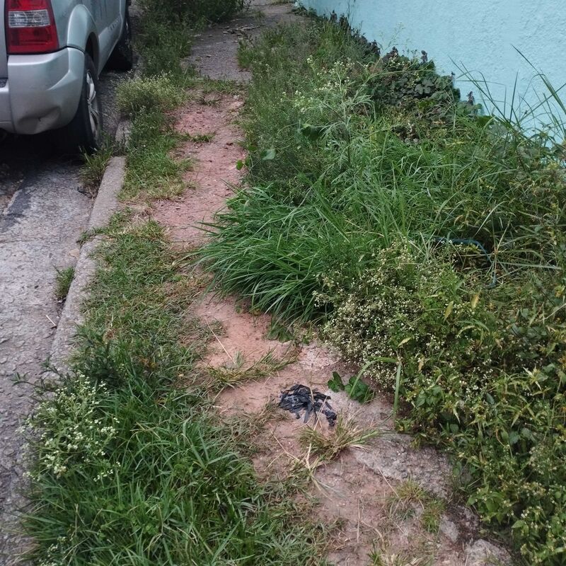 Imagem da publicação