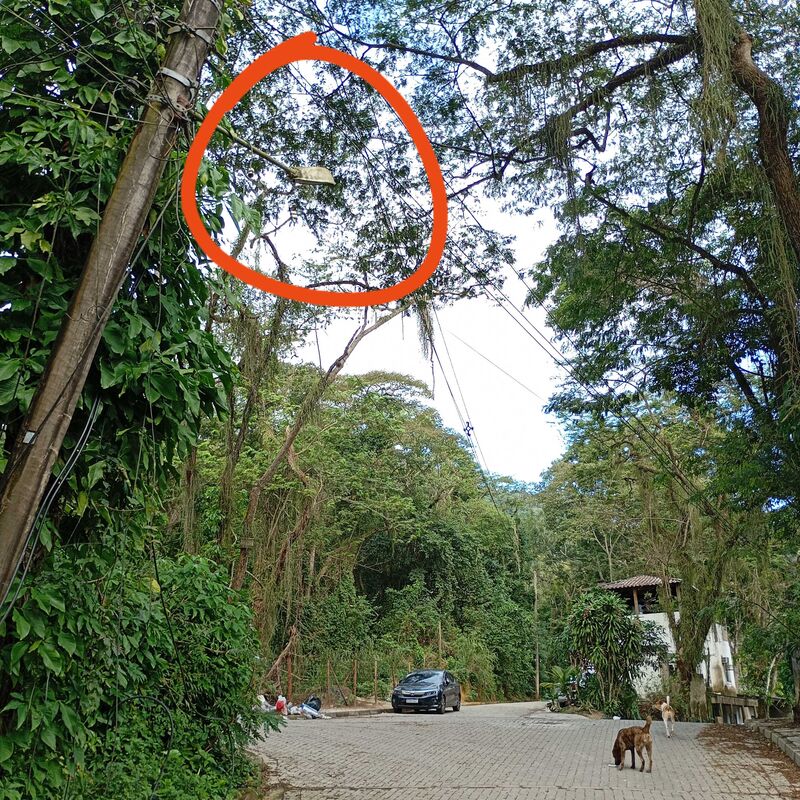 Imagem da publicação