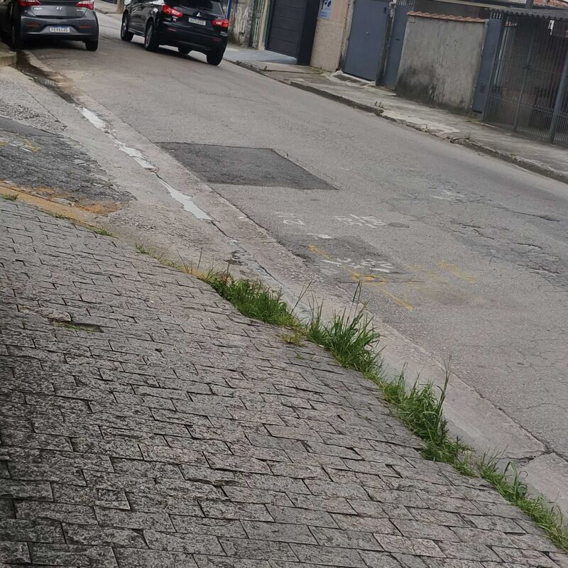 Imagem da publicação