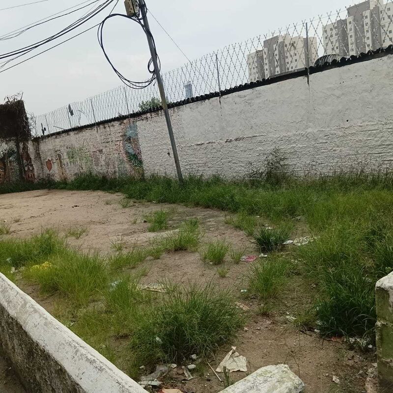 Imagem da publicação