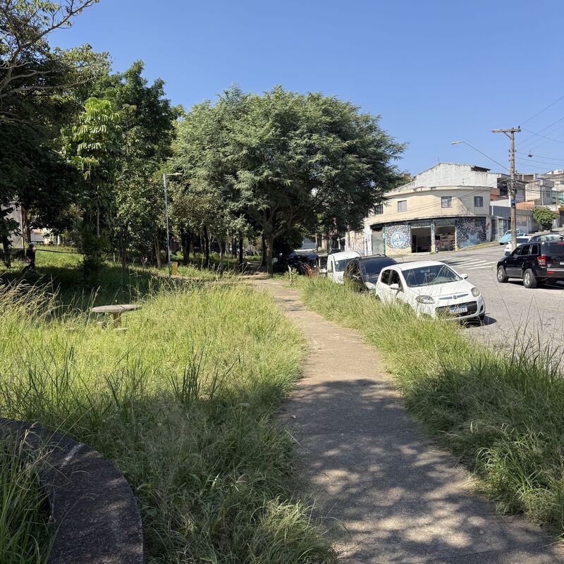 Imagem da publicação