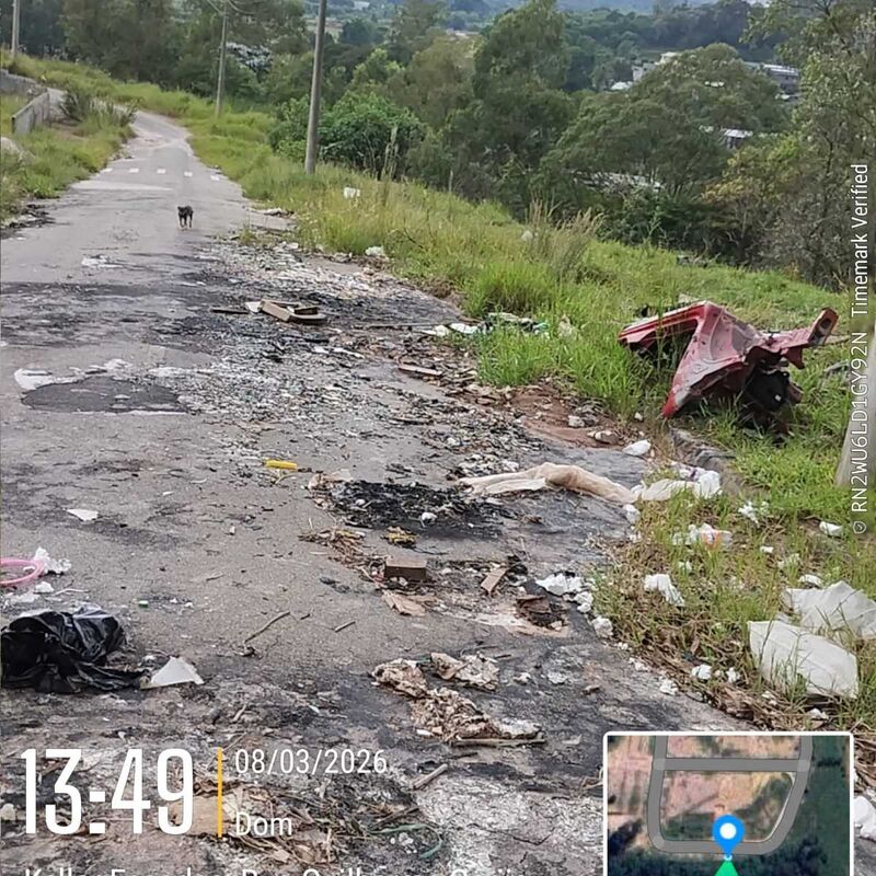 Imagem da publicação