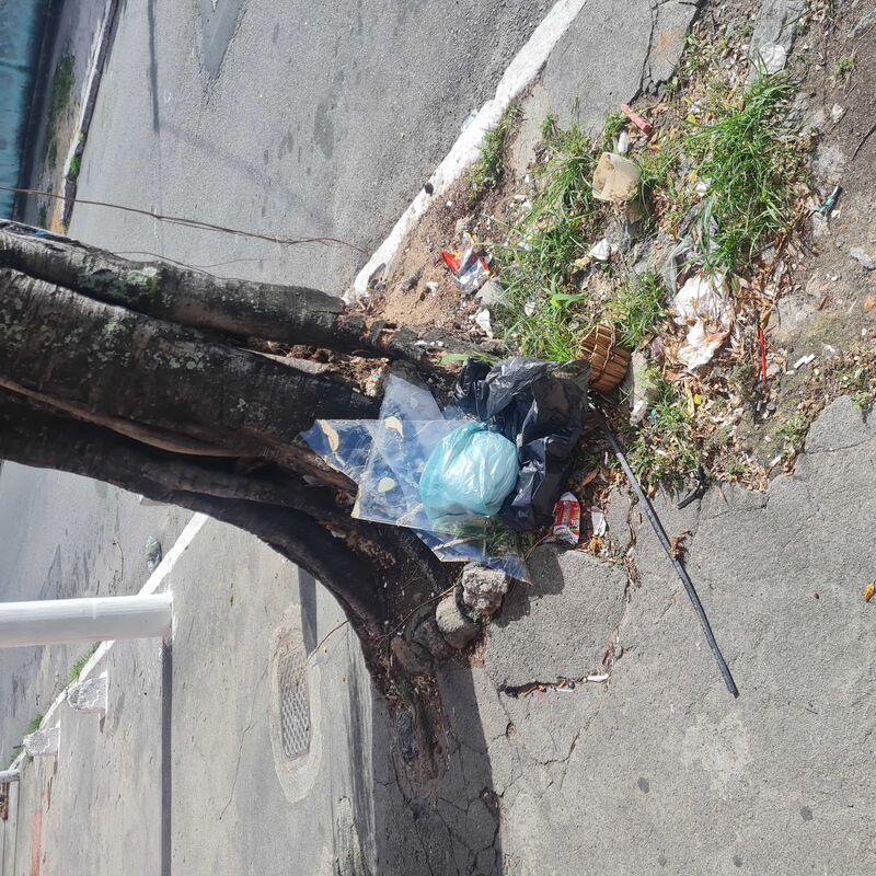 Imagem da publicação