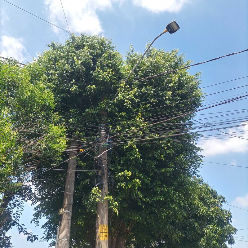 Imagem da publicação