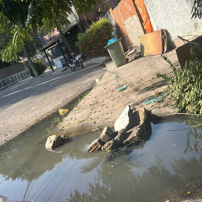 Imagem da publicação