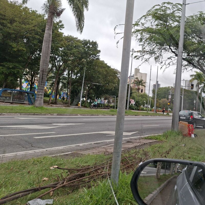Imagem da publicação