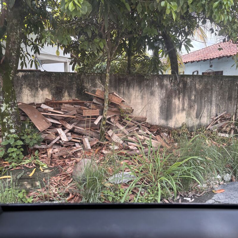 Imagem da publicação