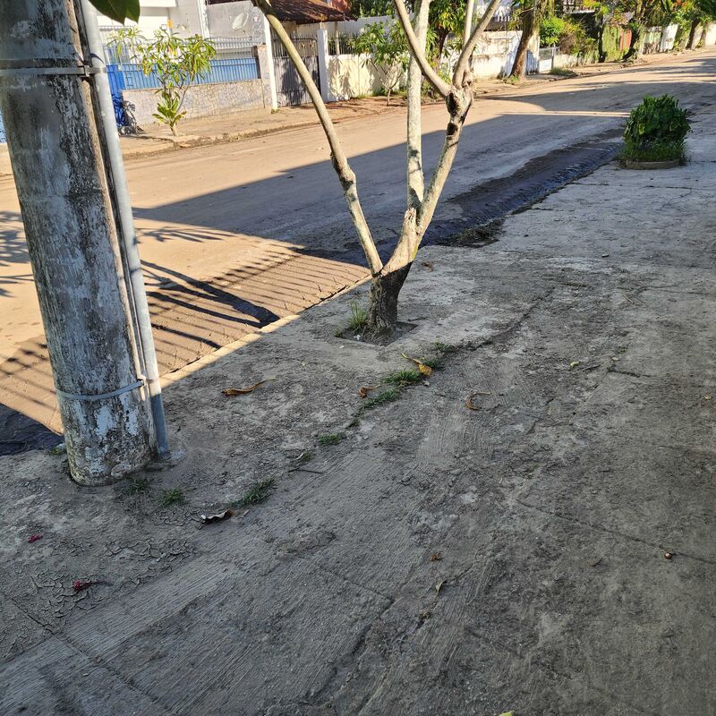 Imagem da publicação