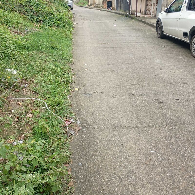 Imagem da publicação
