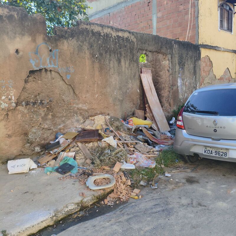 Imagem da publicação