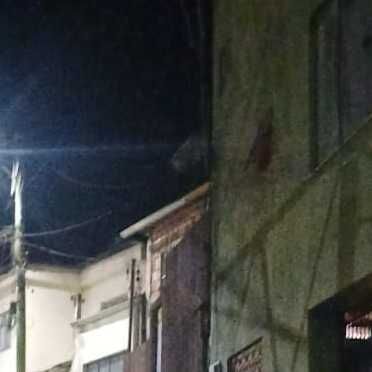 Imagem da publicação