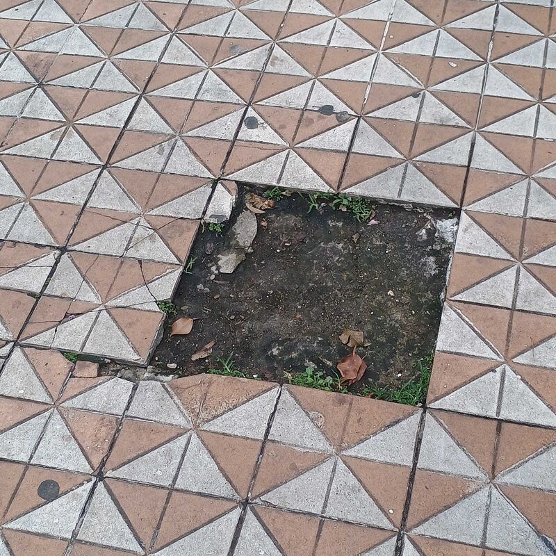 Imagem da publicação